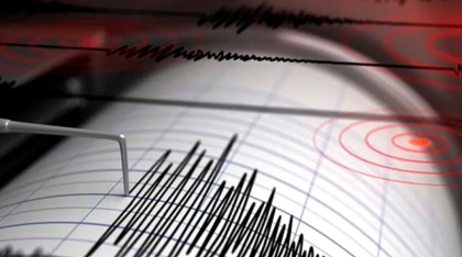 Cutremur în zona seismică Vrancea. Ce magnitudine a avut
