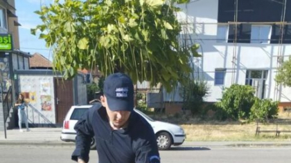 Câine considerat periculos, capturat de jandarmi într-o zonă de blocuri din județul Mehedinți