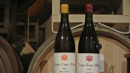 Pinot Noir-ul japonez suferă din cauza vremii extreme
