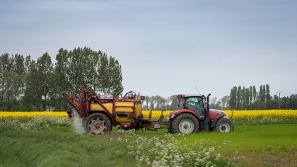 Subvenții APIA 2025. Câți bani primesc agricultorii de la stat în luna iunie