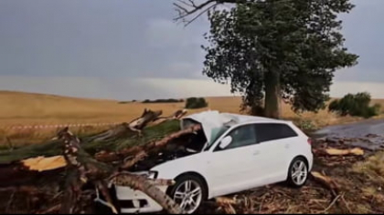 Aproape de tragedie, în Teleorman. Patru persoane, două femei și doi copii, prinse între fiarele unei mașini strivite de un copac doborât de furtună VIDEO