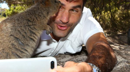 A fost botezat „cel mai fericit animal din lume”. Cum arată quokka: Până și Roger Federer și-a făcut selfie cu blănosul care zâmbește