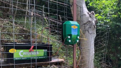 Primul oraș din România care montează gard electric împotriva urșilor. Au fost deja instalați 800 de metri