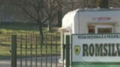 Curtea de Conturi a descoperit plăţi necuvenite de peste 216 milioane de lei acordate salariaţilor Romsilva