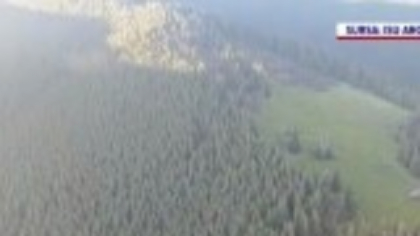 Incendiu de proporții în Argeș. Cinci hectare au ars în întregime. Pompierii s-au luptat din răsputeri să stingă flăcările