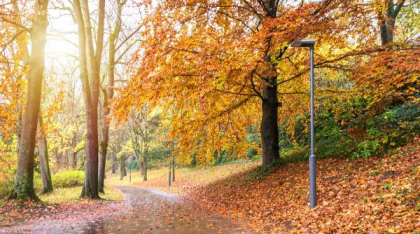 Prognoza meteo actualizată: Cum va fi vremea în următoarele patru săptămâni