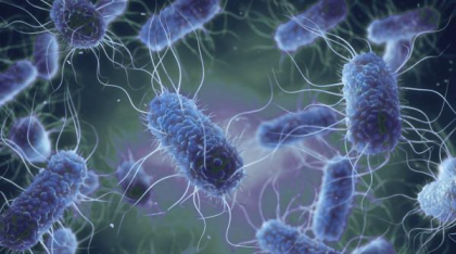 O bacterie uitată ar putea provoca 15 milioane de cazuri de cancer