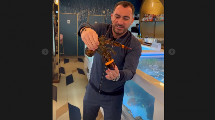 Mesajul lui Pescober după ce Nicușor Dan a câștigat alegerile. „Pentru mine asta înseamnă democrație!”