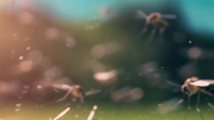 Invazii de insecte în mai multe orașe din țară. Ce a dus la apariția fenomenului