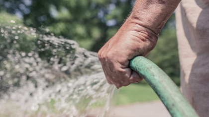 Gata cu stropitul! Germania interzice udatul grădinilor pe timp de vară