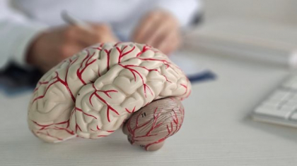 Noi cercetări confirmă că neuronii se formează în creierul adult. Românul Ionuț Dumitru, în echipa care face aceste descoperiri extraordinare