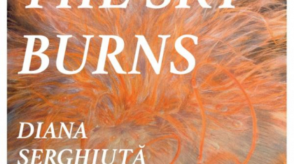 Diana Serghiuță revine la Brașov cu prima sa expoziție personală: Where the Sky Burns, la Muzeul de Artă Brașov