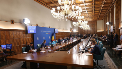 Guvernul decide alocările financiare pentru giganții de stat în 2025