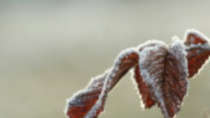 Temperaturile scad brusc săptămâna viitoare în toată țara. ANM: Minimele ating -3 grade, este așteptată brumă