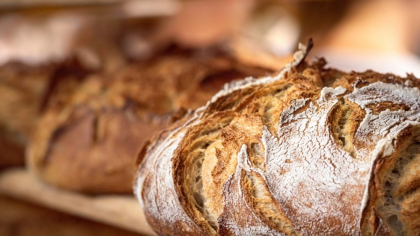 Care este cea mai sănătoasă pâine din comerț. Explicațiile nutriționistului Mihaeala Bilic: „Glutenul nu e dușmanul tău”
