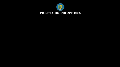 Captură de peste 8 milioane de lei. Ce au descoperit polițiștii într-un container care trebuia să conțină scobitori