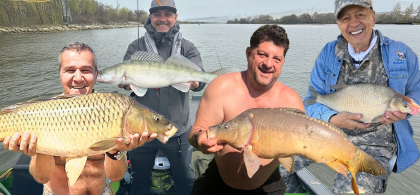 Și vedetele dau la pește! Rețeta de vară a pescarilor Adrian Daminescu și Chef Sorin Bontea: „Merge cu vin alb rece”. Secretul gustului