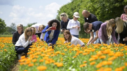Cum se fabrică celebrele produse Weleda! Am vizitat grădina de plante medicinale din Germania, un paradis de 23 de hectare