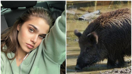 Theo Rose, „amenințată” de un porc mistreț, în cartierul bogaților. Artista a tras un semnal de alarmă: „Eram în trecere prin cartier”
