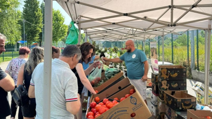 Legumicultorii evită cooperativele și la 35 ani de la destrămarea CAP-urilor. „Supermarketurile nu vin la fiecare poartă, aduc de afară”