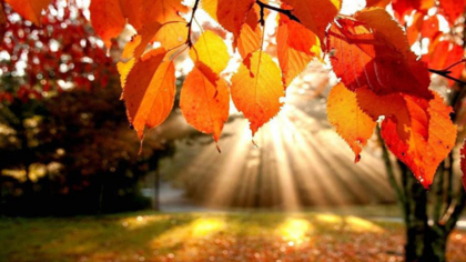 Prognoza meteo pentru finalul lunii septembrie. ANManunță când scad temperaturile
