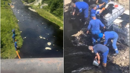 Muncitorii de la OMV Petrom au vrut să scoată petrolul cu găleata, după ce o cantitate mare de țiței a ajuns în râul Tazlău, în zona Moinești