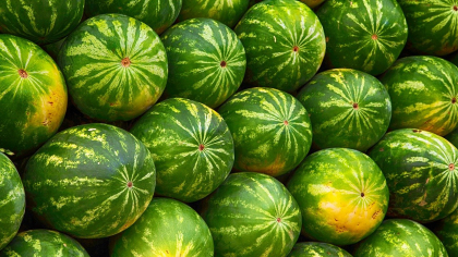Cum alegi pepenele verde să fie perfect copt. Ce înseamnă, de fapt, pata galbenă de pe fruct