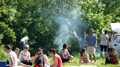Jumătate dintre arborii plantaţi într-o zonă din Oradea, distruşi de participanţii la picnic