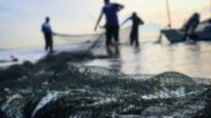 Ce au descoperit polițiștii de frontieră în plasele unor pescari, în Tulcea | FOTO