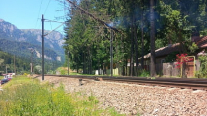 Blocaj feroviar pe Valea Prahovei. Un copac căzut a oprit circulația tuturor trenurilor între Sinaia și Bușteni