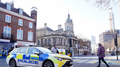 Doi adolescenți arestați pentru torturarea și uciderea a două pisici în Londra
