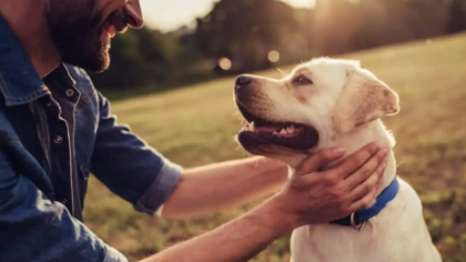 Inteligența artificială vrea să spargă bariera dintre om și natură. Se apropie ziua în care vom ști ce gândesc animalele?