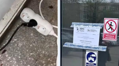 Amenzi de peste 280.000 de lei date de ANPC pe litoral într-o singură zi, după ce a descoperit alte nereguli grave