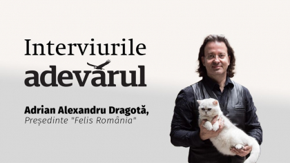 Cum (ne)iubesc pisicile?Despre ce relație ai cu pufoasa ta, explică Adrian Alexandru Dragotă, Președinte "Felis România"