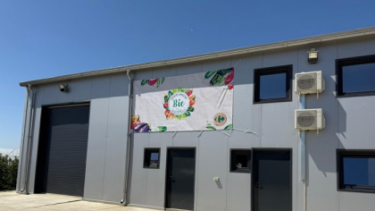Carrefour lansează prima cooperativă bio în comuna Conteşti, judeţul Dâmboviţa, unde se produc, pe zece hectare de teren, dovlecei, zucchini, ardei şi vinete bio