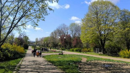 Maimuțele din Olanda, legătură neașteptată cu spațiile verzi de la Grădina Botanică Galați: „A cerut sponsorizări, de parcă se ducea acolo să ia o pisică”