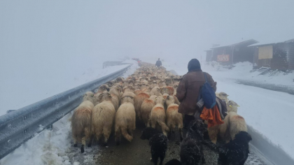 Turmele, coborâte de pe Transalpina cu sprijinul drumarilor. DN 67C rămâne închis, iar vremea se înrăutățește
