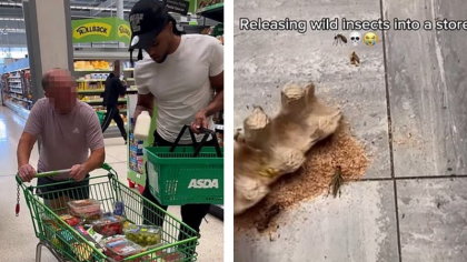 Noua modă pe TikTok. Influencerii aspiranți hărțuiesc cumpărătorii și personalul supermarketurilor pentru a câștiga urmăritori