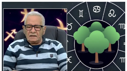 Mihai Voropchievici, zodiacul copacilor iulie 2025: Omul-brad se află în centrul Universului