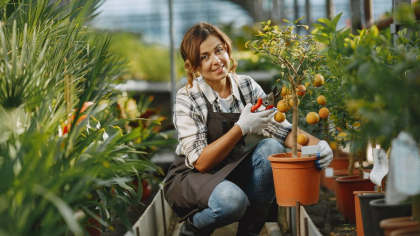 Cum transformăm curtea într-o grădină ecologică. Ghidul specialiștilor pentru începerea unei culturi bio