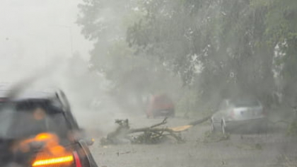 Ce pagube a produs furtuna în București! Copaci rupți, mașini avariate, străzi blocate FOTO