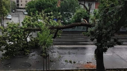 ULTIMA ORĂ. ANM a emis cod galben de vijelii, furtună cu putere de uragan