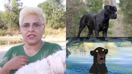 EXCLUSIV Tanti Vasilica, bulversată după întâlnirea de gradul zero cu pantera-câine ce a pus pe jar două țări: „Am crezut că mi s-a arătat Satana în față. O văd, mi-o închipui, privirea ei mi-a rămas mie întipărită în cap”