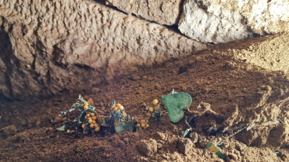 Descoperire arheologică excepțională la Mangalia: Bijuterii din aur de 2.300 de ani, clasate în Tezaurul României