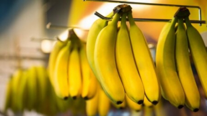 Ultima generație care mai mănâncă banane: Fructul preferat din toată lumea, pe cale să dispară în câțiva ani