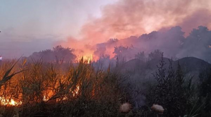 Focul ucigaș: Sute de hectare pârjolite și victime în stare gravă
