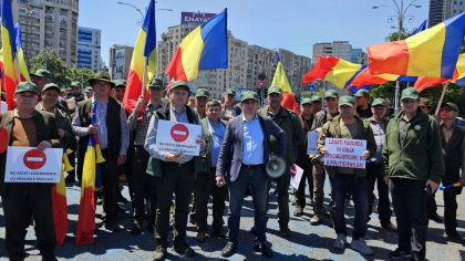 Silvicultorii ies în stradă. Protest la Guvern față de reorganizarea Romsilva