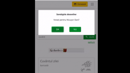 Dexonline îi îndeamnă pe utilizatori sa voteze un anumit candidat. Adversarii se revoltă: „Propagandă electorală mascată”