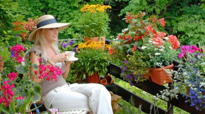 6 plante care te încântă cu florile lor tot anul