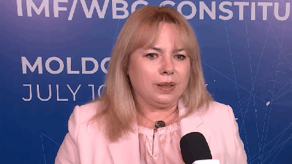 De ce nu a fost Anca Dragu o soluție pentru postul de premier- surse